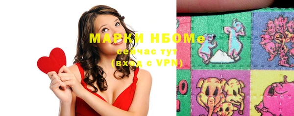 хмурый Богородицк