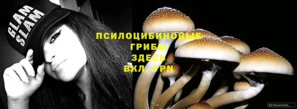 COCAINE Богданович