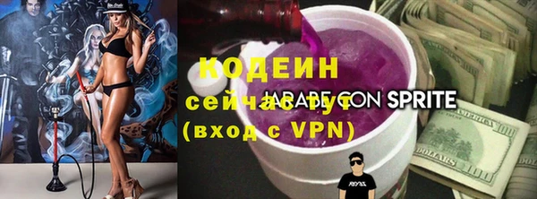 хмурый Богородицк