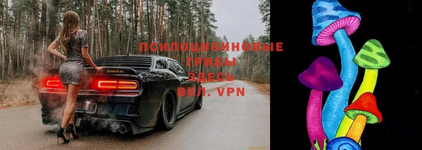 PSILOCYBIN Богородск