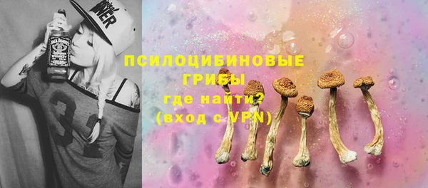 хмурый Богородицк