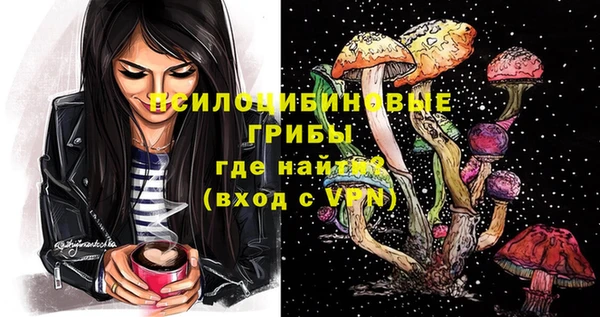 гидра Сосновый Бор